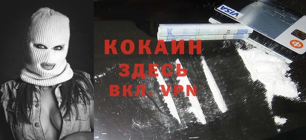 дмт Арсеньев