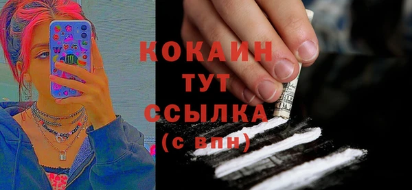 дмт Арсеньев