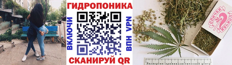 ОМГ ОМГ ТОР  магазин продажи наркотиков  Валдай  МАРИХУАНА ГИДРОПОН 
